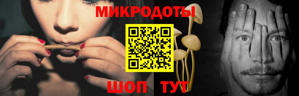 Галлюциногенные грибы Cubensis Павлово